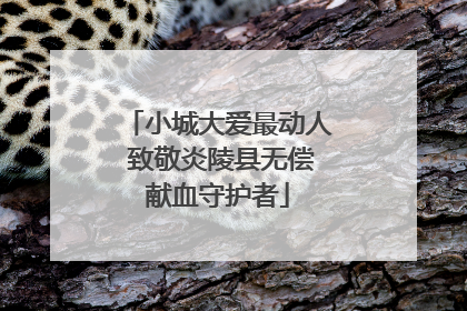 小城大爱最动人 致敬炎陵县无偿献血守护者