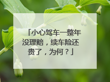 小心驾车一整年没理赔，续车险还贵了，为何？