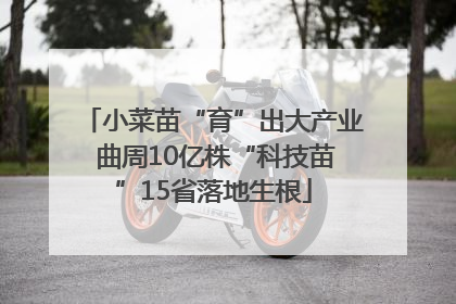 小菜苗“育”出大产业 曲周10亿株“科技苗”15省落地生根