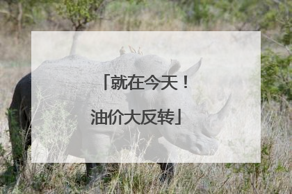 就在今天！油价大反转