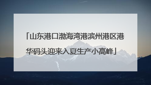 山东港口渤海湾港滨州港区港华码头迎来入夏生产小高峰