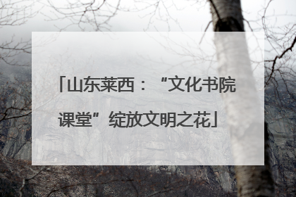 山东莱西：“文化书院课堂”绽放文明之花