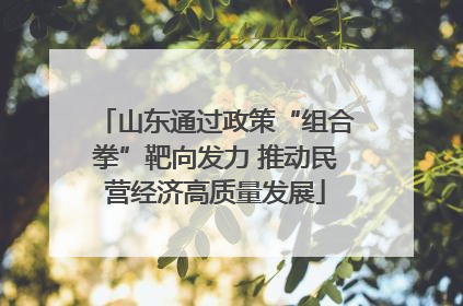 山东通过政策“组合拳”靶向发力 推动民营经济高质量发展