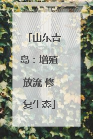 山东青岛：增殖放流 修复生态