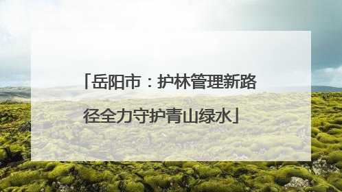 岳阳市：护林管理新路径全力守护青山绿水
