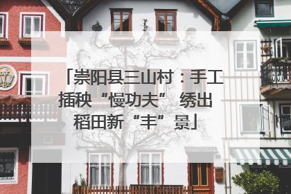 崇阳县三山村：手工插秧“慢功夫” 绣出稻田新“丰”景