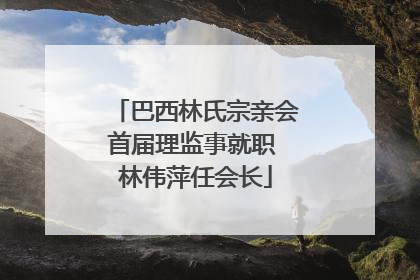 巴西林氏宗亲会首届理监事就职 林伟萍任会长