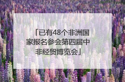 已有48个非洲国家报名参会第四届中非经贸博览会