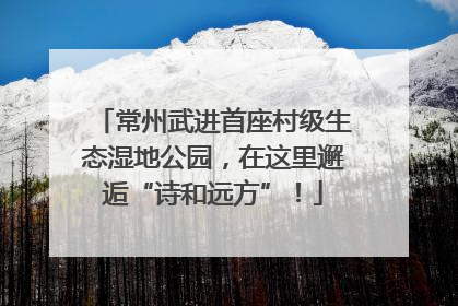 常州武进首座村级生态湿地公园，在这里邂逅“诗和远方”！
