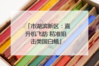 市湖滨新区：直升机飞防 精准狙击美国白蛾