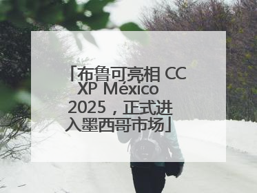 布鲁可亮相 CCXP México 2025，正式进入墨西哥市场