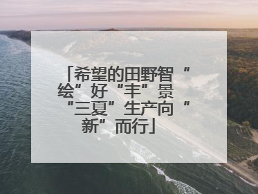 希望的田野智“绘”好“丰”景 “三夏”生产向“新”而行