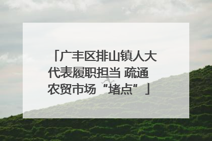 广丰区排山镇人大代表履职担当 疏通农贸市场“堵点”