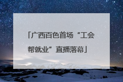 广西百色首场“工会帮就业”直播落幕