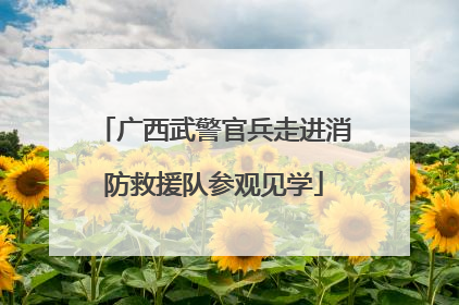 广西武警官兵走进消防救援队参观见学