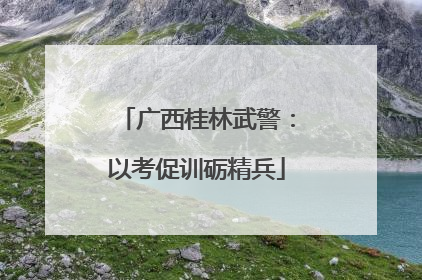 广西桂林武警：以考促训砺精兵