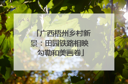 广西梧州乡村新景：田园铁路相映 勾勒和美画卷