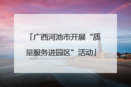 广西河池市开展“质量服务进园区”活动