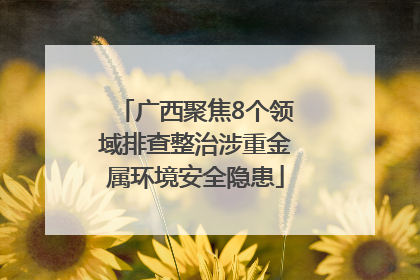 广西聚焦8个领域排查整治涉重金属环境安全隐患