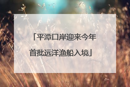 平潭口岸迎来今年首批远洋渔船入境