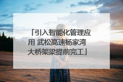 引入智能化管理应用 武松高速杨家湾大桥架梁提前完工