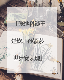 张继科谈王楚钦、孙颖莎世乒赛表现