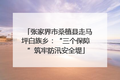 张家界市桑植县走马坪白族乡：“三个保障”筑牢防汛安全堤