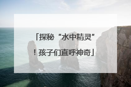探秘“水中精灵”！孩子们直呼神奇