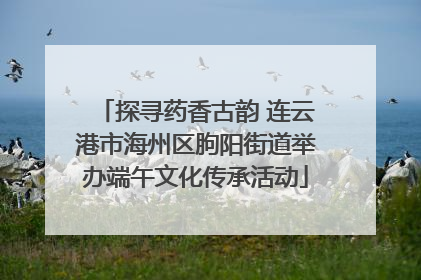 探寻药香古韵 连云港市海州区朐阳街道举办端午文化传承活动