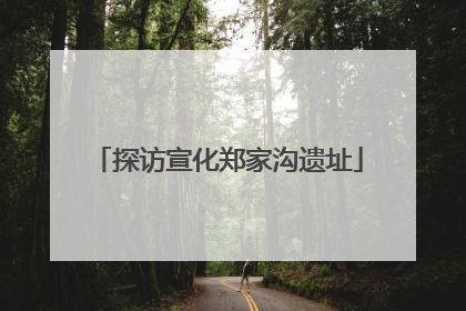 探访宣化郑家沟遗址