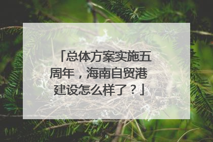 总体方案实施五周年，海南自贸港建设怎么样了？