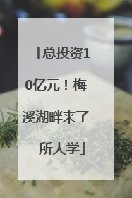 总投资10亿元！梅溪湖畔来了一所大学