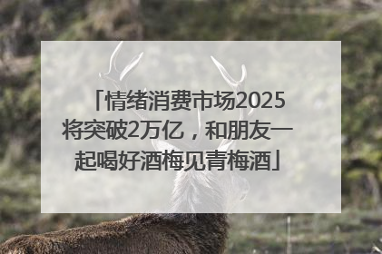 情绪消费市场2025将突破2万亿，和朋友一起喝好酒梅见青梅酒