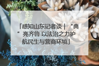 感知山东记者谈｜“典”亮齐鲁 以法治之力护航民生与营商环境