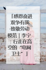 感恩奋进 双争有我·致敬劳动模范｜李宁：行走在高空的“电网卫士”