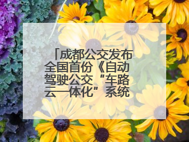 成都公交发布全国首份《自动驾驶公交“车路云一体化”系统联调》白皮书