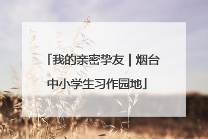 我的亲密挚友｜烟台中小学生习作园地