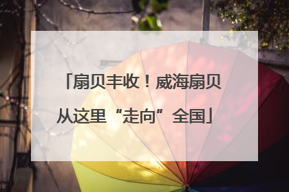 扇贝丰收！威海扇贝从这里“走向”全国