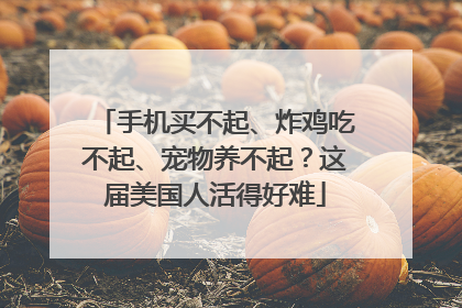 手机买不起、炸鸡吃不起、宠物养不起？这届美国人活得好难