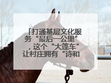 打通基层文化服务“最后一公里”，这个“大篷车”让村庄拥有“诗和远方”