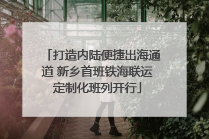 打造内陆便捷出海通道 新乡首班铁海联运定制化班列开行