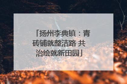 扬州李典镇：青砖铺就整洁路 共治绘就新田园