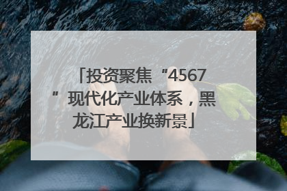 投资聚焦“4567”现代化产业体系，黑龙江产业换新景