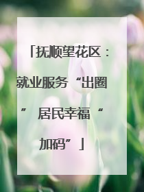 抚顺望花区：就业服务“出圈” 居民幸福“加码”