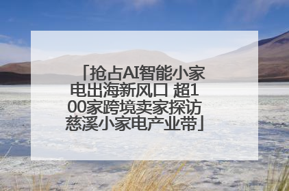 抢占AI智能小家电出海新风口 超100家跨境卖家探访慈溪小家电产业带