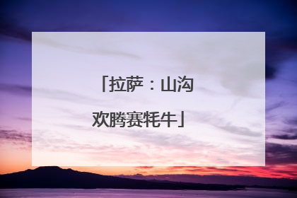 拉萨：山沟欢腾赛牦牛