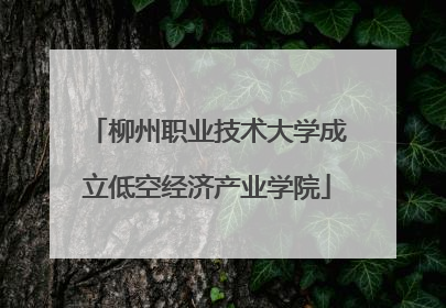 柳州职业技术大学成立低空经济产业学院