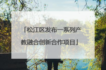 松江区发布一系列产教融合创新合作项目