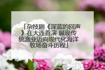 杂技剧《深蓝的回声》在大连首演 展现传统渔业迈向现代化海洋牧场奋斗历程