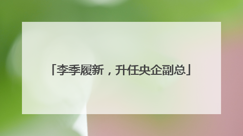 李季履新，升任央企副总